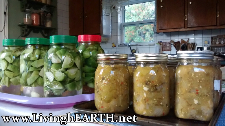 green tomato pickles and salsa