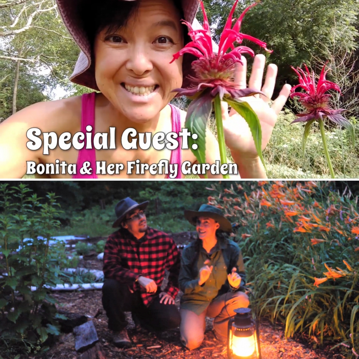 Gardening for Fireflies video by Berries and Bushcraft