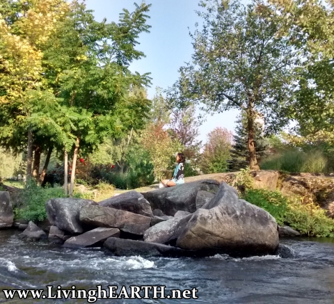 meditating on rock