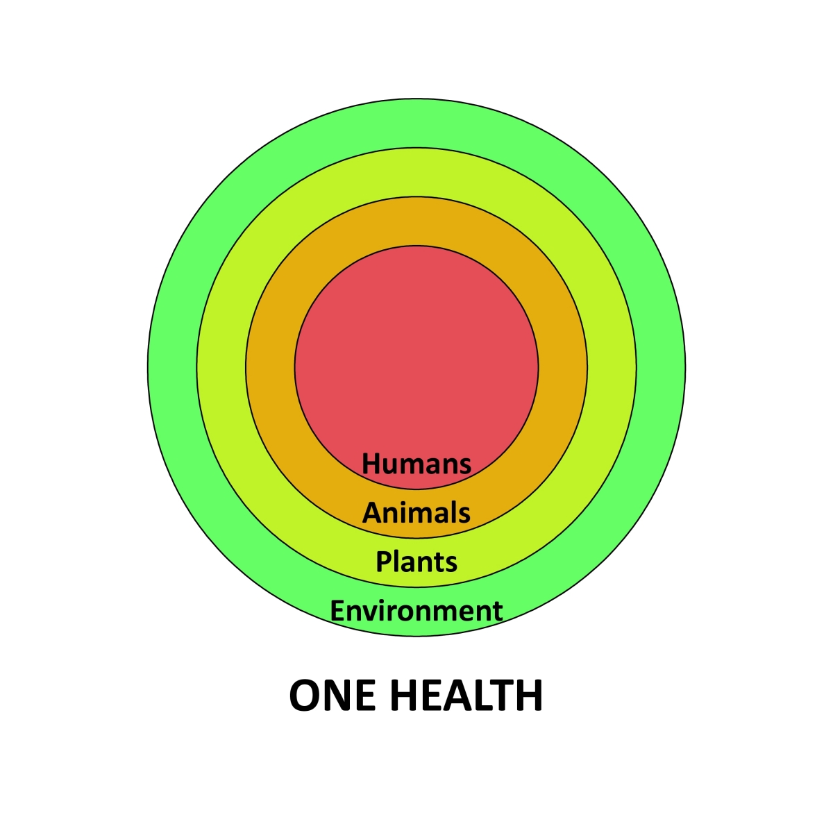 One health diagram. Humans depend on animals, which depend on plants, which depend on the environment.