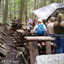 Ferme et Foret
