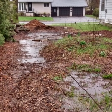 spring flooding... thank goodness for the pile of woodchips raising the level of the garden by the sidewalk