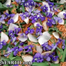 spring salad <3
